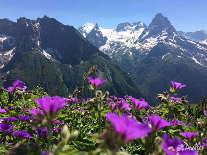 Экскурсии на джипах