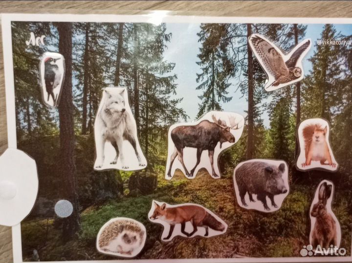 Цветной лазерный принтер