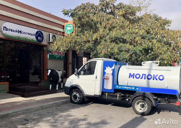 Домашнее молоко, сметана, сыр