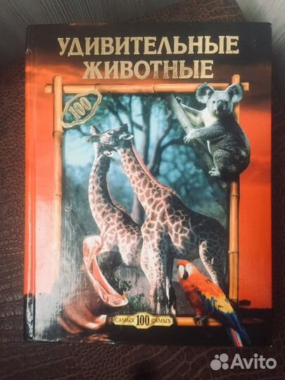 Книга «Удивительные животные»