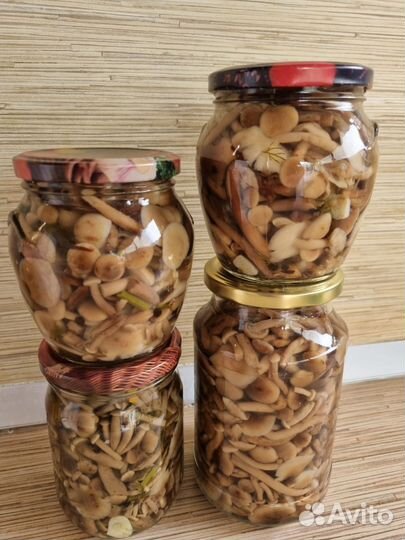 Грибы опята маринованные