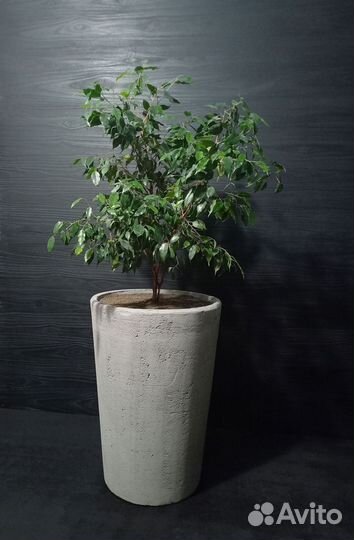 Горшки, Вазоны, Кашпо под заказ из бетона