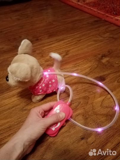 Собачка чичилав