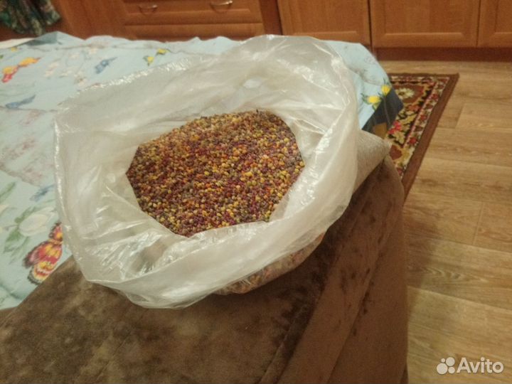 Цветочная пыльца 2023