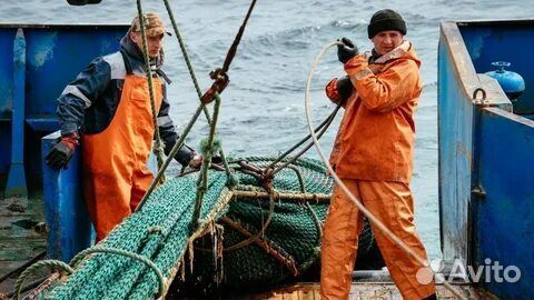 Рыбацкий костюм barents