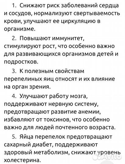 Перепелиные яйца домашние