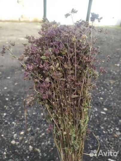 Лучшие веники для бани от компании 