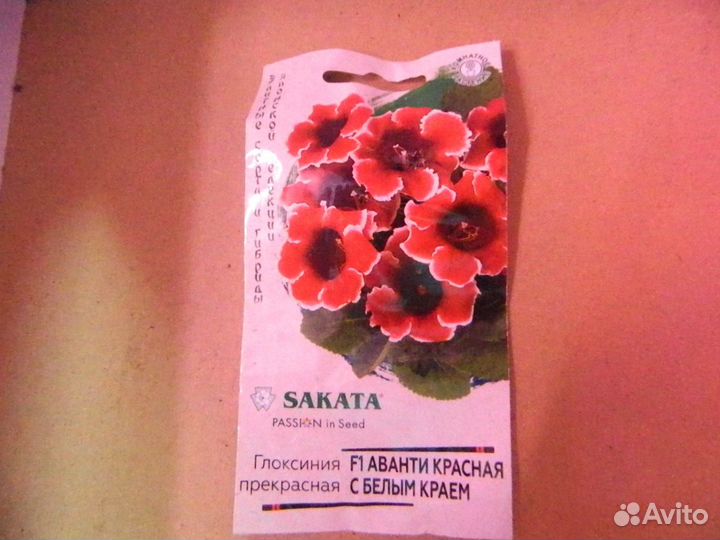 Семена глоксинии, колеусов