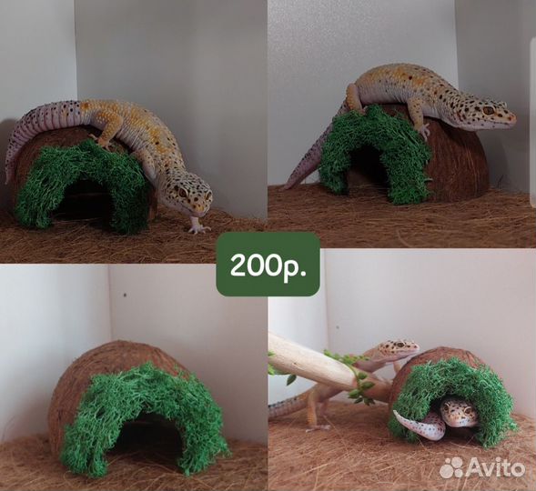 Украшение для террариума