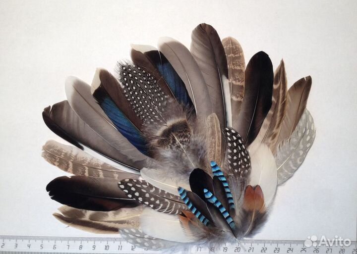 Перья для творчества