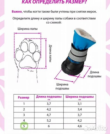 Обувь зимняя или демисезон для собак