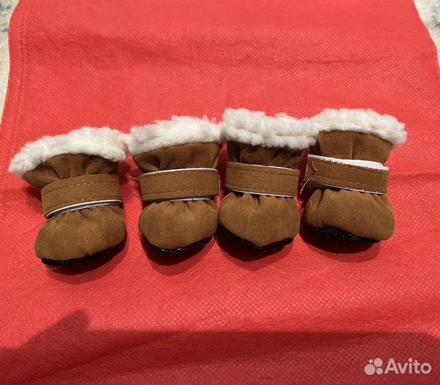 Обувь для маленьких собак