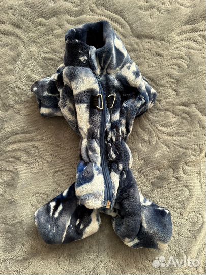 Одежда для собак