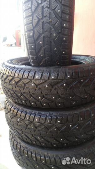 Tigar Winter 185/60 R15