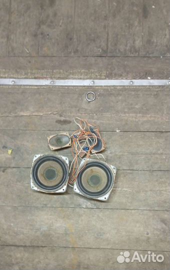 Динамики гдн