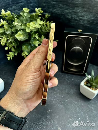 iPhone 12 Pro, 128 ГБ