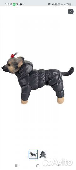Одежда для средних собак