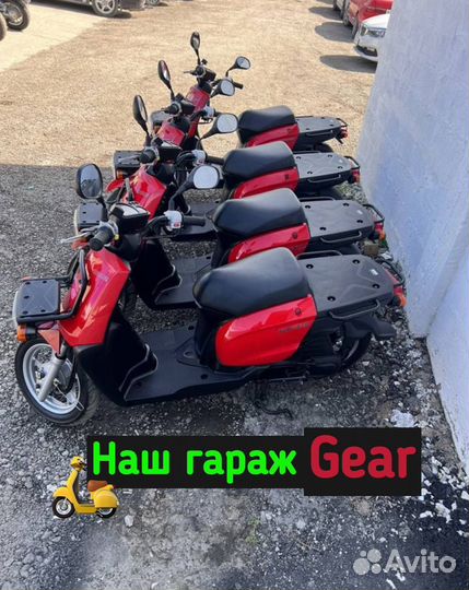 Аренда скутера Краснодар