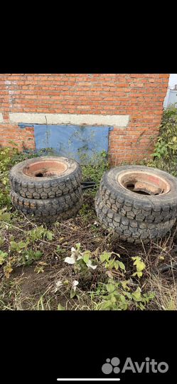 Колеса газ 53