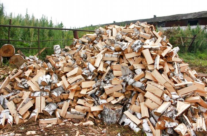 Дрова свежайшие