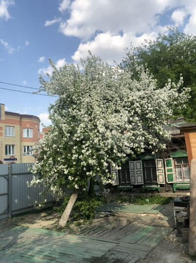 Участок 8 сот. (ИЖС)