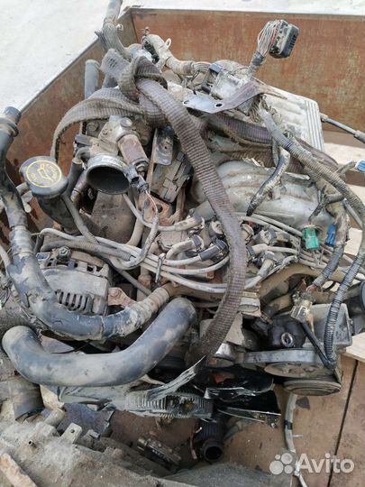 Двигатель Форд Windsor 302