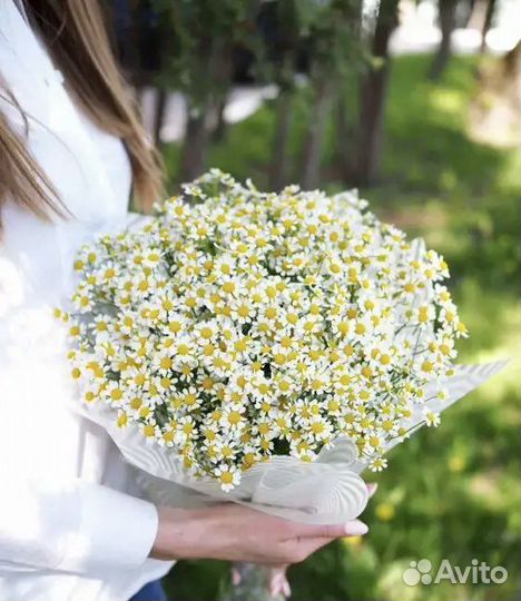 Букет из ромашек 19 25 35 51 101 Розы Пионы