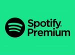Spotify Premium на 12 мес