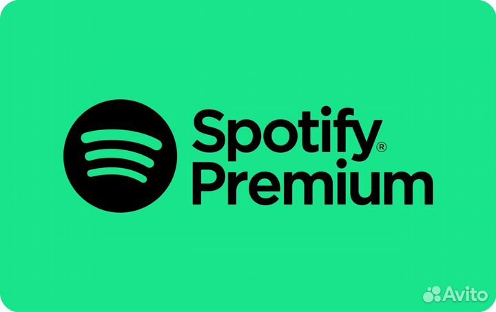 Spotify Premium на 12 мес