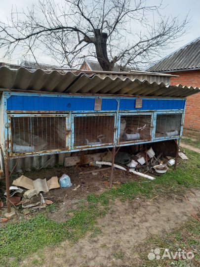 Клетки для кроликов