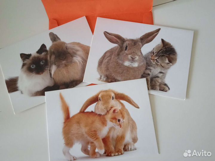 Открытки с животными, 3шт