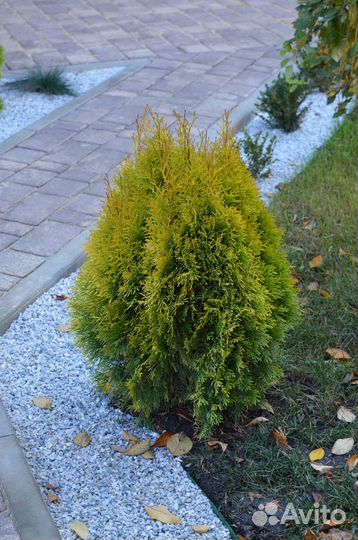 Тротуарная плитка Steinrus
