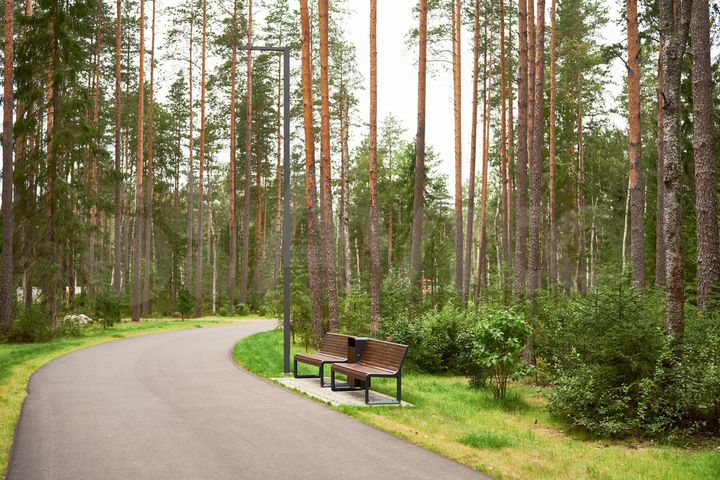 Участок 17,7 сот. (СНТ, ДНП)