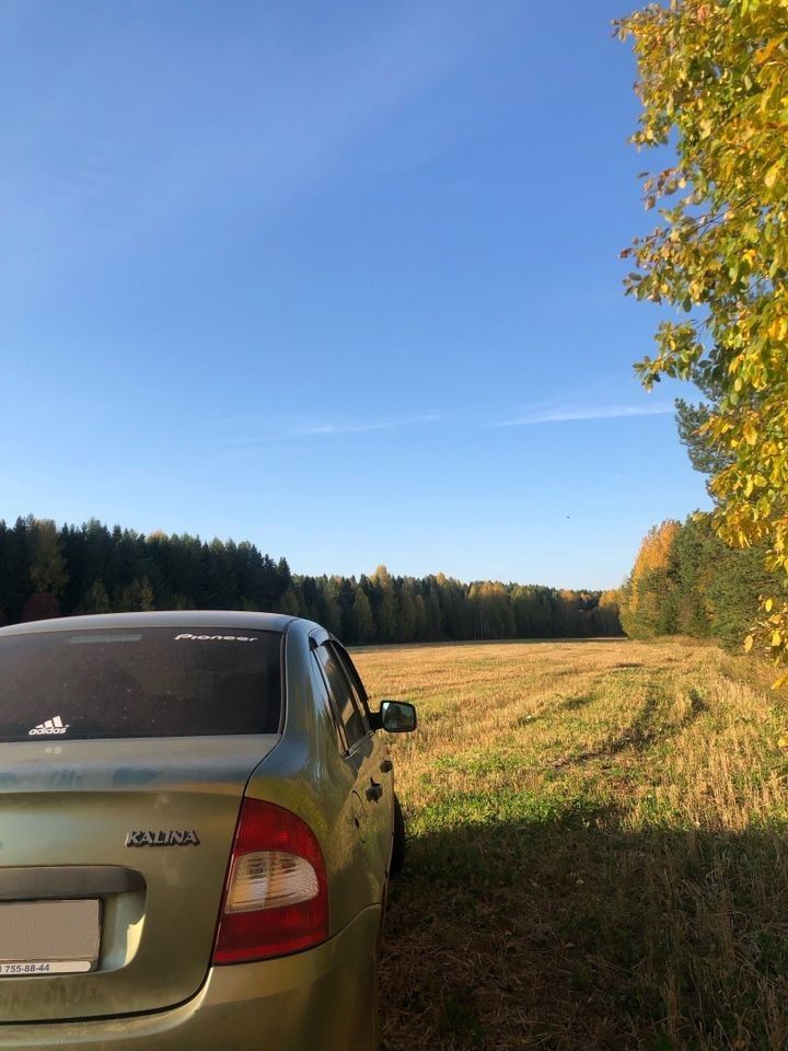 ВАЗ (LADA) Kalina: фото владельца