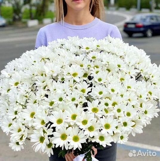 Хризантема Букеты с доставкой