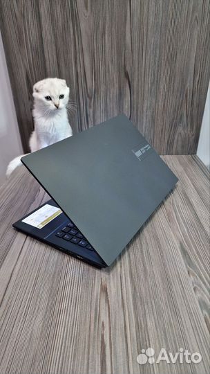 Asus с oled экраном