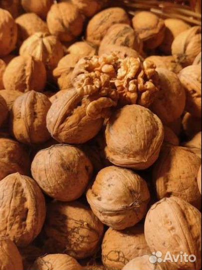 Продам грецкий орех в скорлупе