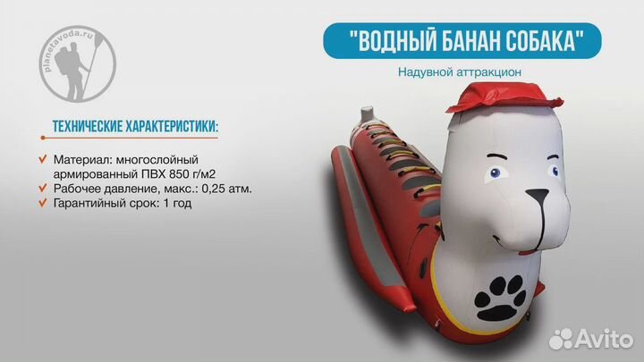 Зимний банан Собака