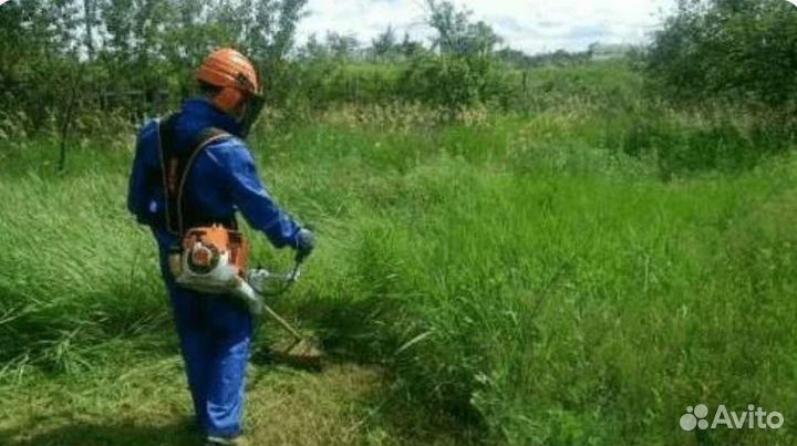 Покос травы