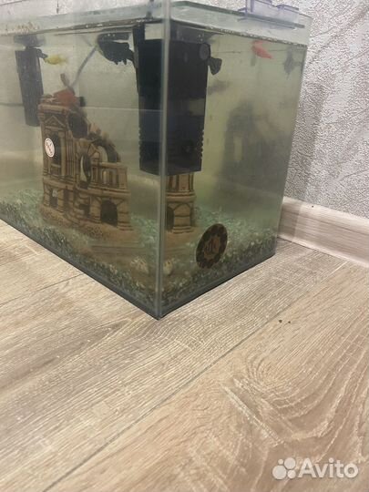 Аквариум 30 литров с рыбками и фильтрами