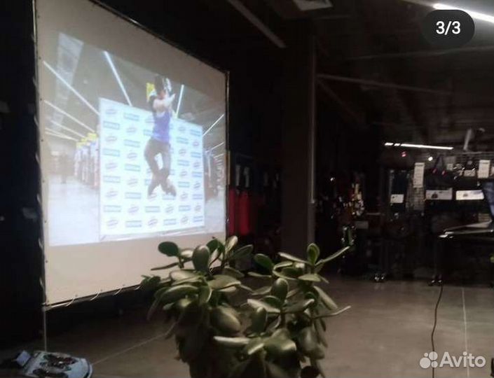 Экран для проектора на ножках 300*240 см