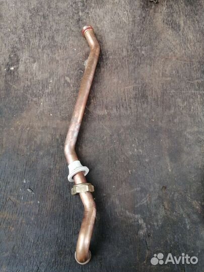 Бакси зкофор