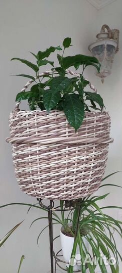 Кашпо из ротанга 20 литров