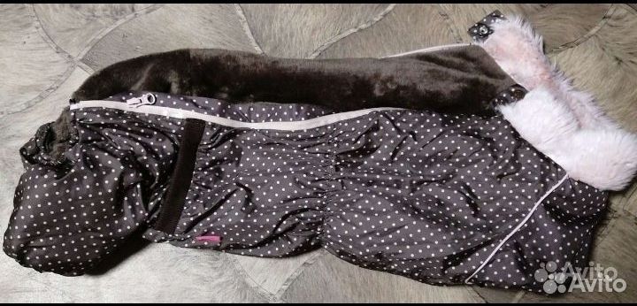 2 Комбинезона для таксы(осенний, зимний)