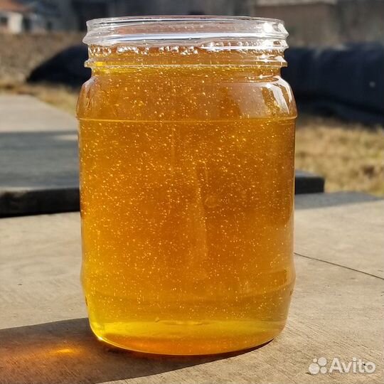 Эспарцетовый мёд опт