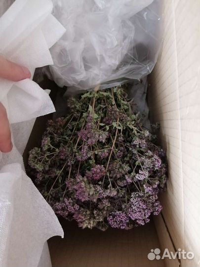 Эстрагон, тархун, зверобой, душица сухоцвет