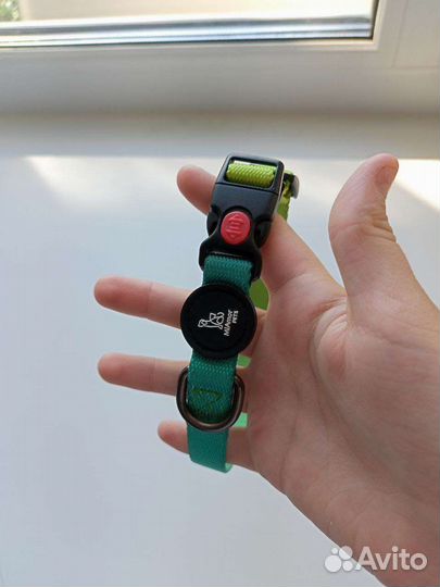 Шлейка, ошейник(2), намордник, комбинезон