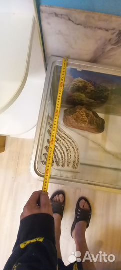 Аквариум 150л