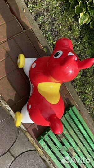 Фитбол прыгун Rody