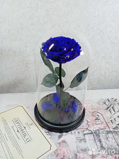 Стабилизированные розы